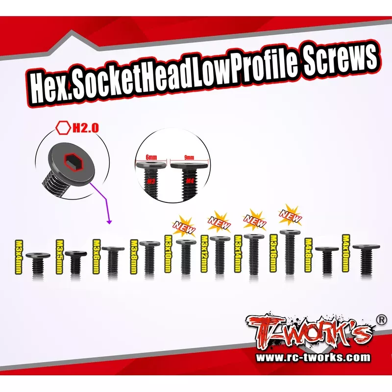 SS-LP M3 Hex. Socket Head Low Profile Screws