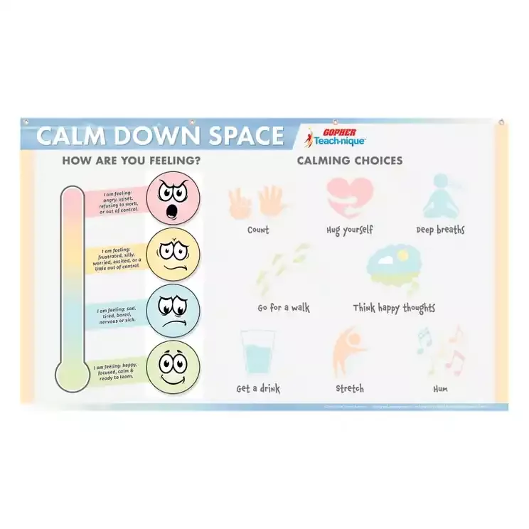 Teach-nique Calm Down Banner